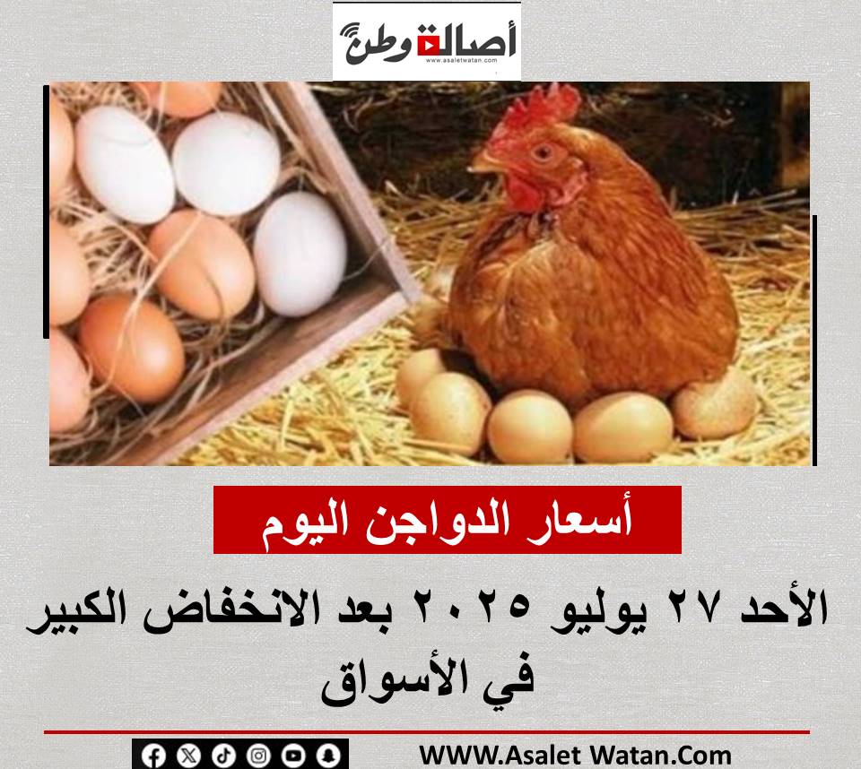 أسعار الدواجن اليوم الأحد 27 يوليو 2025 بعد الانخفاض الكبير في الأسواق