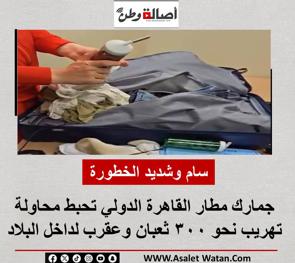 سام وشديد الخطورة.. جمارك مطار القاهرة الدولي تحبط محاولة تهريب نحو ٣٠٠ ثعبان وعقرب لداخل البلاد