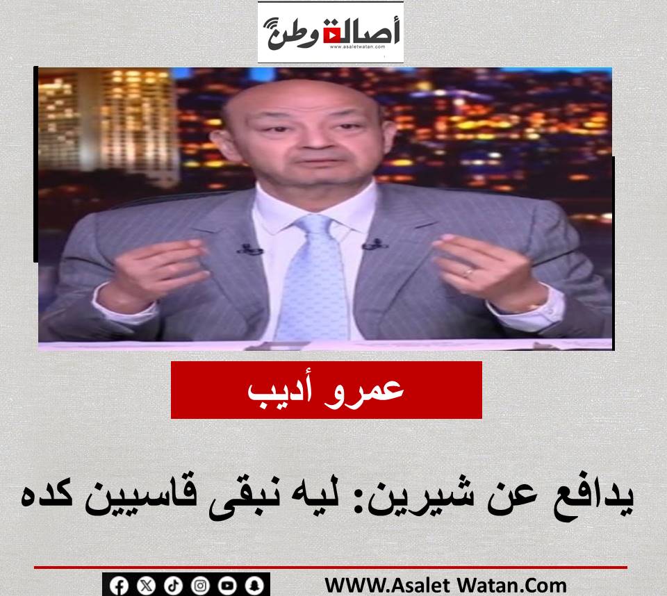 عمرو أديب يدافع عن شيرين: ليه نبقى قاسيين كده