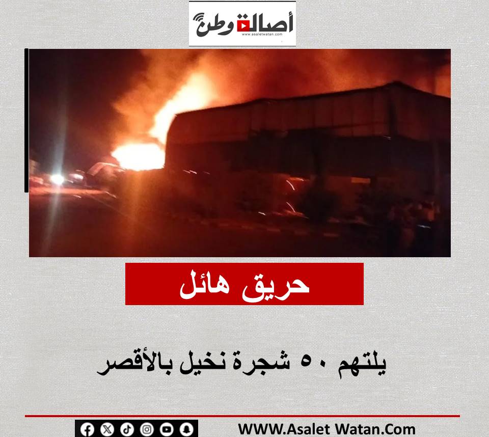 حريق هائل يلتهم 50 شجرة نخيل بالأقصر