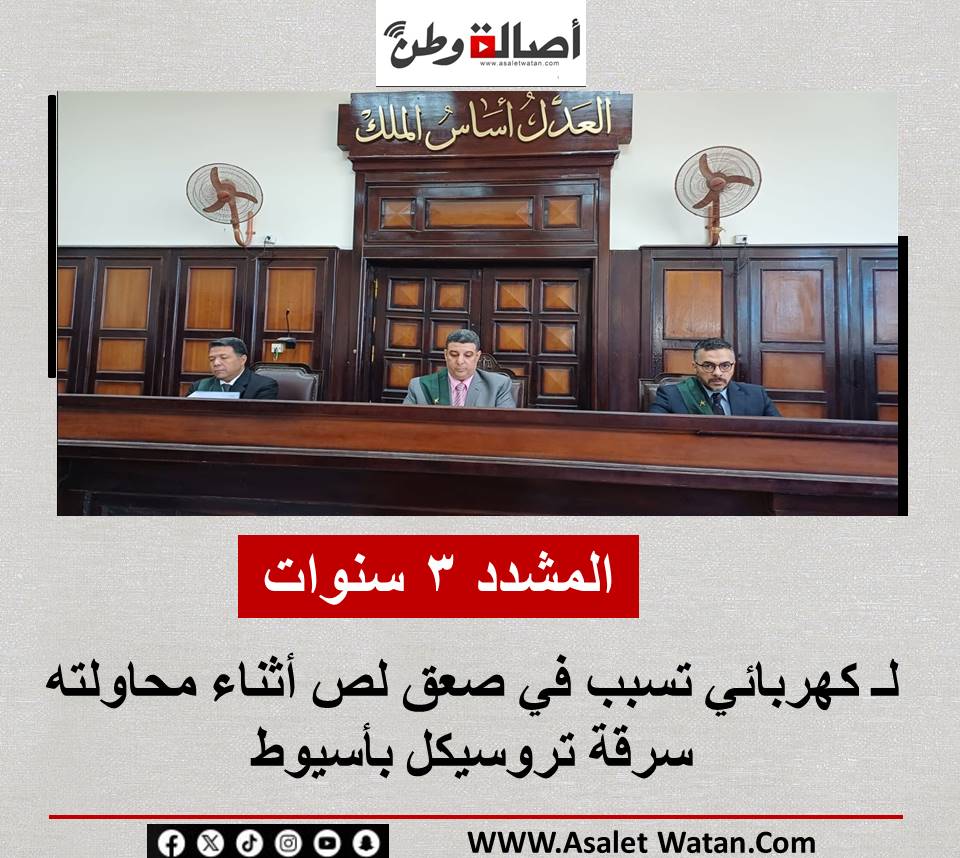 المشدد 3 سنوات لـ كهربائي تسبب في صعق لص أثناء محاولته سرقة تروسيكل بأسيوط