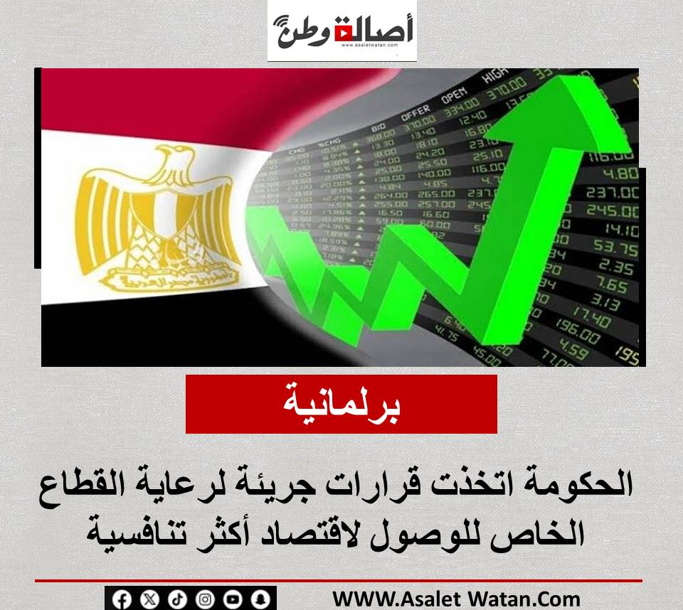 برلمانية: الحكومة اتخذت قرارات جريئة لرعاية القطاع الخاص للوصول لاقتصاد أكثر تنافسية
