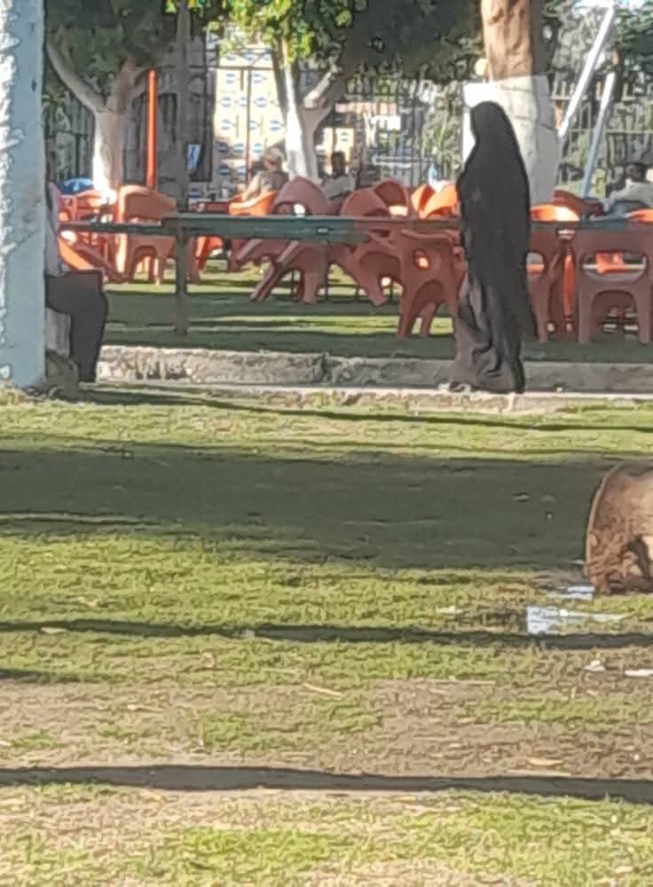 استغاثة عاجلة إلى السيد محافظ أسيوط بشأن الأوضاع المتردية في حديقة الفردوس متنفس الغلابة الوحيد في مدينة أسيوط