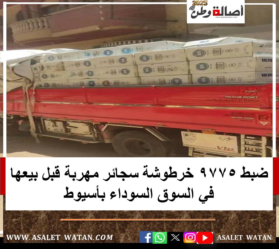 أسيوط.. ضبط 9775 خرطوشة سجائر مهربة قبل بيعها في السوق السوداء