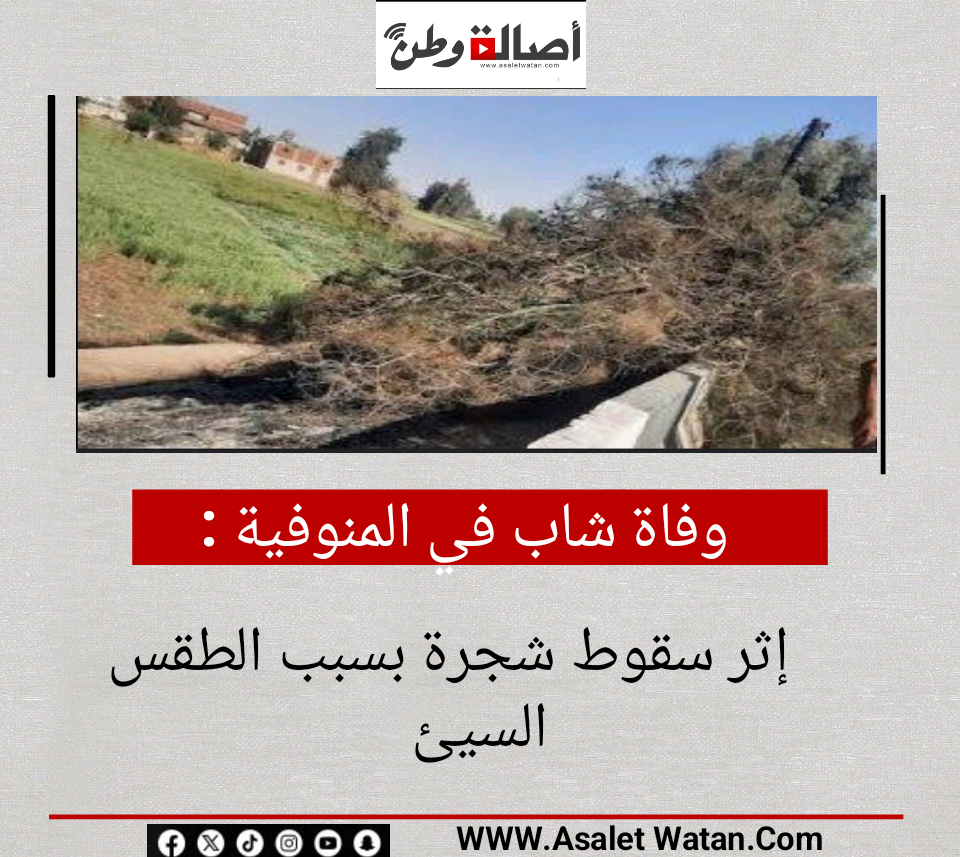 وفاة شاب في المنوفية إثر سقوط شجرة بسبب الطقس السيئ