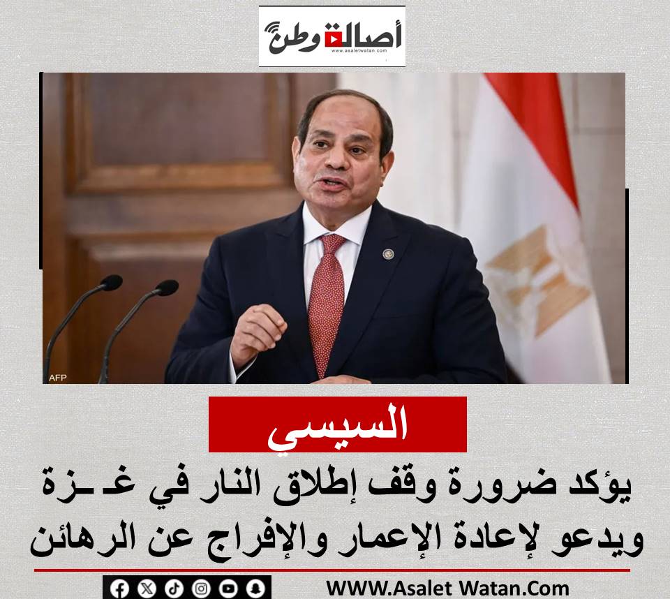 السيسي يؤكد ضرورة وقف إطلاق النار في غـ ــزة ويدعو لإعادة الإعمار والإفراج عن الرهائن